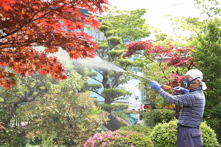 庭木の殺虫消毒