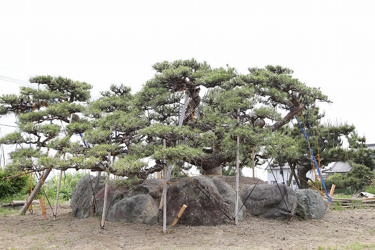 まずはお問い合わせください